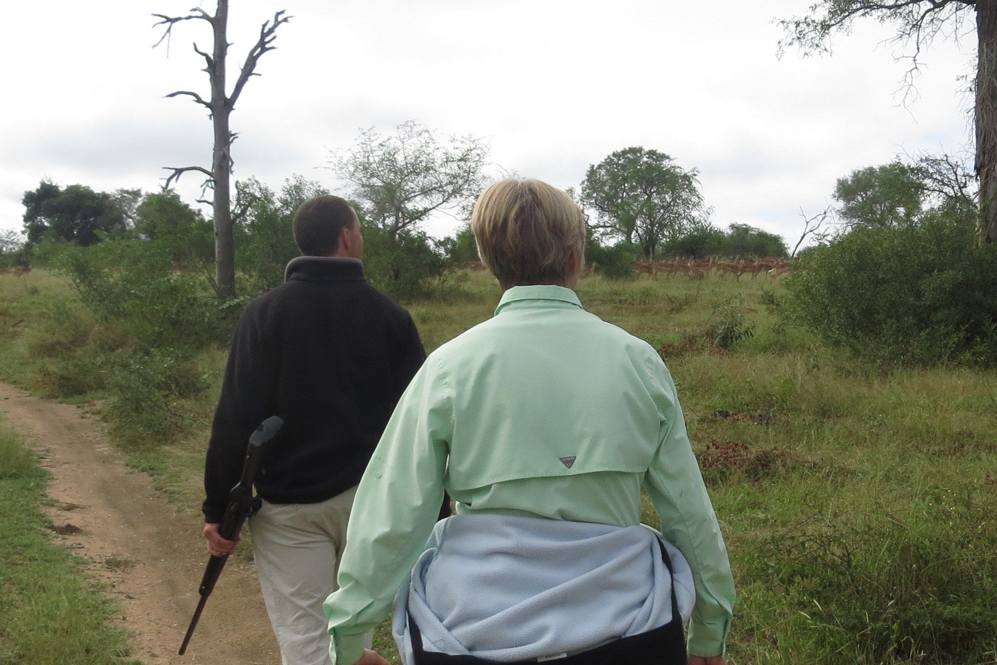 Platteklip Tours & Trails - Walking Safaris
