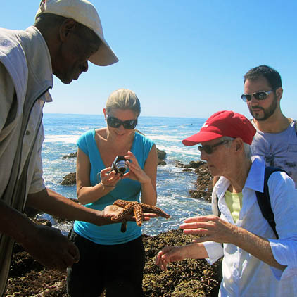 oystercatcher trail