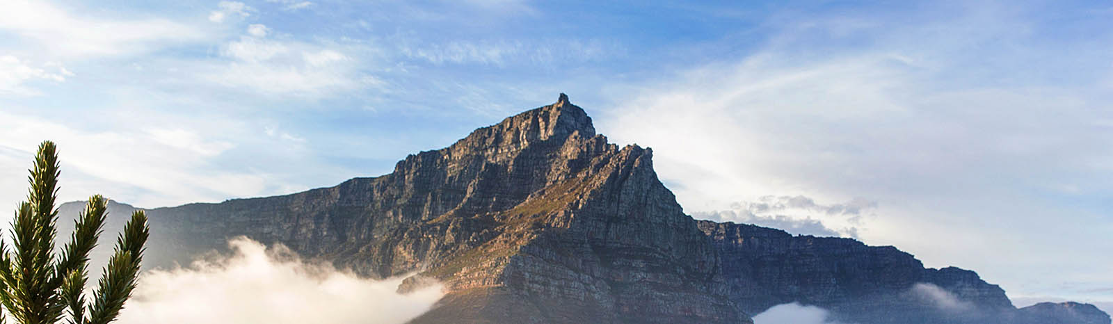 tablemountainheader