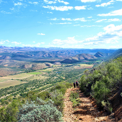 Baviaans Camino