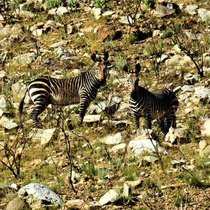 Oukraal Trail